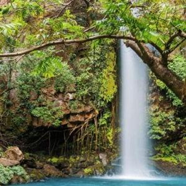 Guided hike at Manuel Antonio National Park in Costa Rica