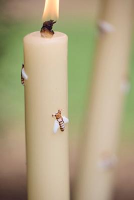 Bug Citronella Torch Candle