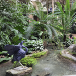 Gaylord Opryland Resort & Convention Center