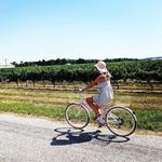 Zoom Leisure Bike Rental & Wine Tours