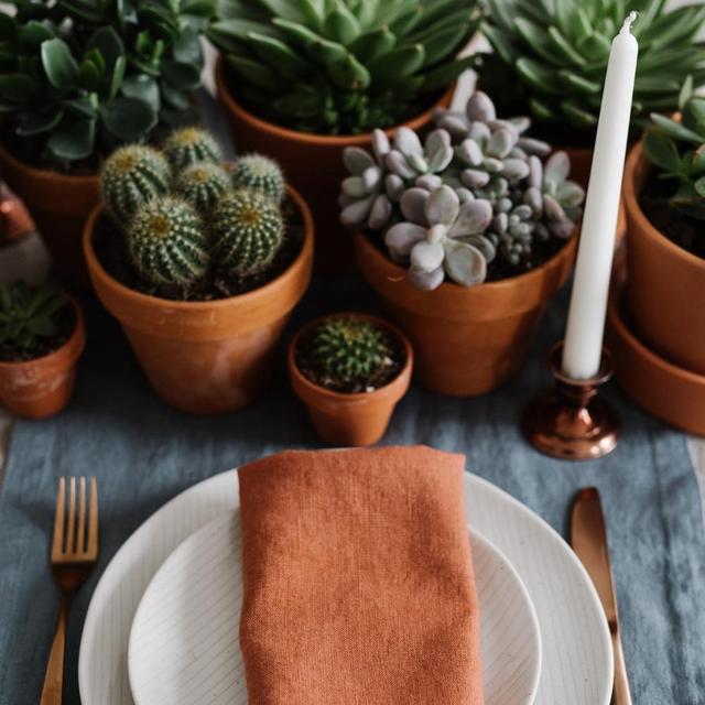 Baked Clay Linen Napkins Set of 2 — 20"x20"