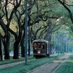 The Garden District