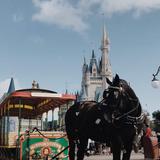 Disney World