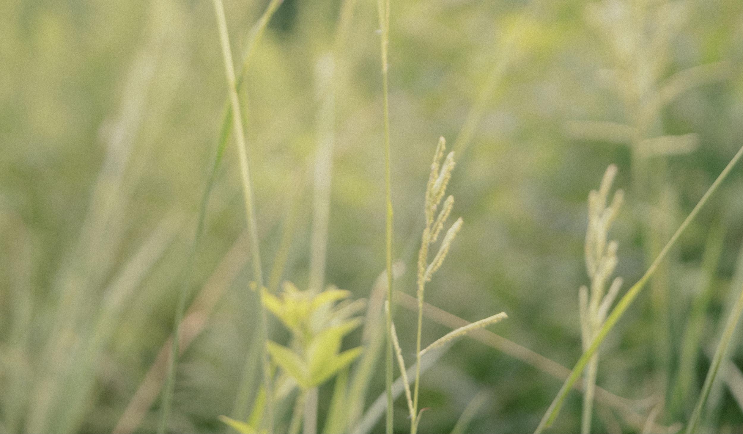 Hero Slideshow Image 1