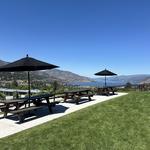 Black Swift Vineyards