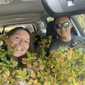 Fruit Trees
