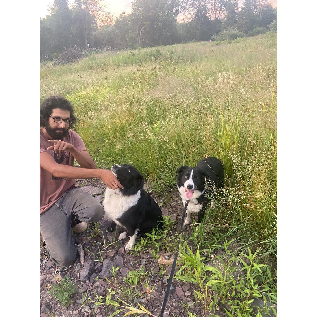 Very hard to get a picture with all 3 crazy dogs!