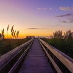 Isle of Palms County Park