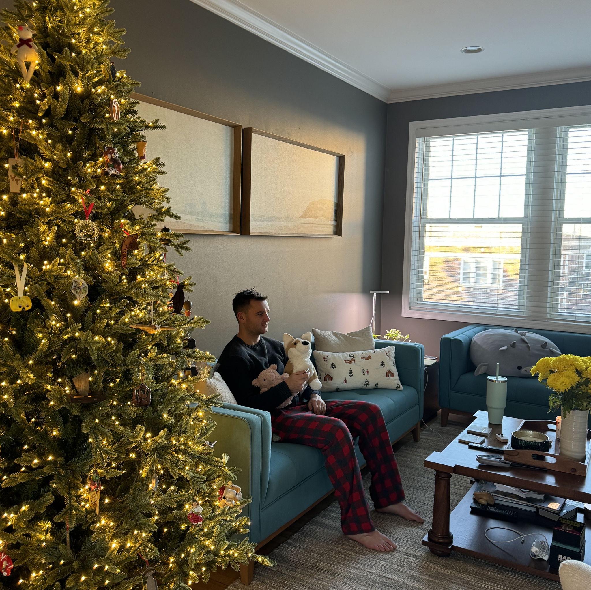Dec 2023: Jackson is cuddling with some of the jellycats, celebrating their first Christmas in St Louis. Sam convinced Jackson to get a nice fake tree from Costco