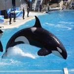 SeaWorld San Diego
