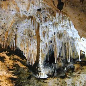 National Park Trip General Fund - New Mexico/Texas