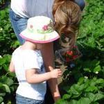 Underwood Family Farms