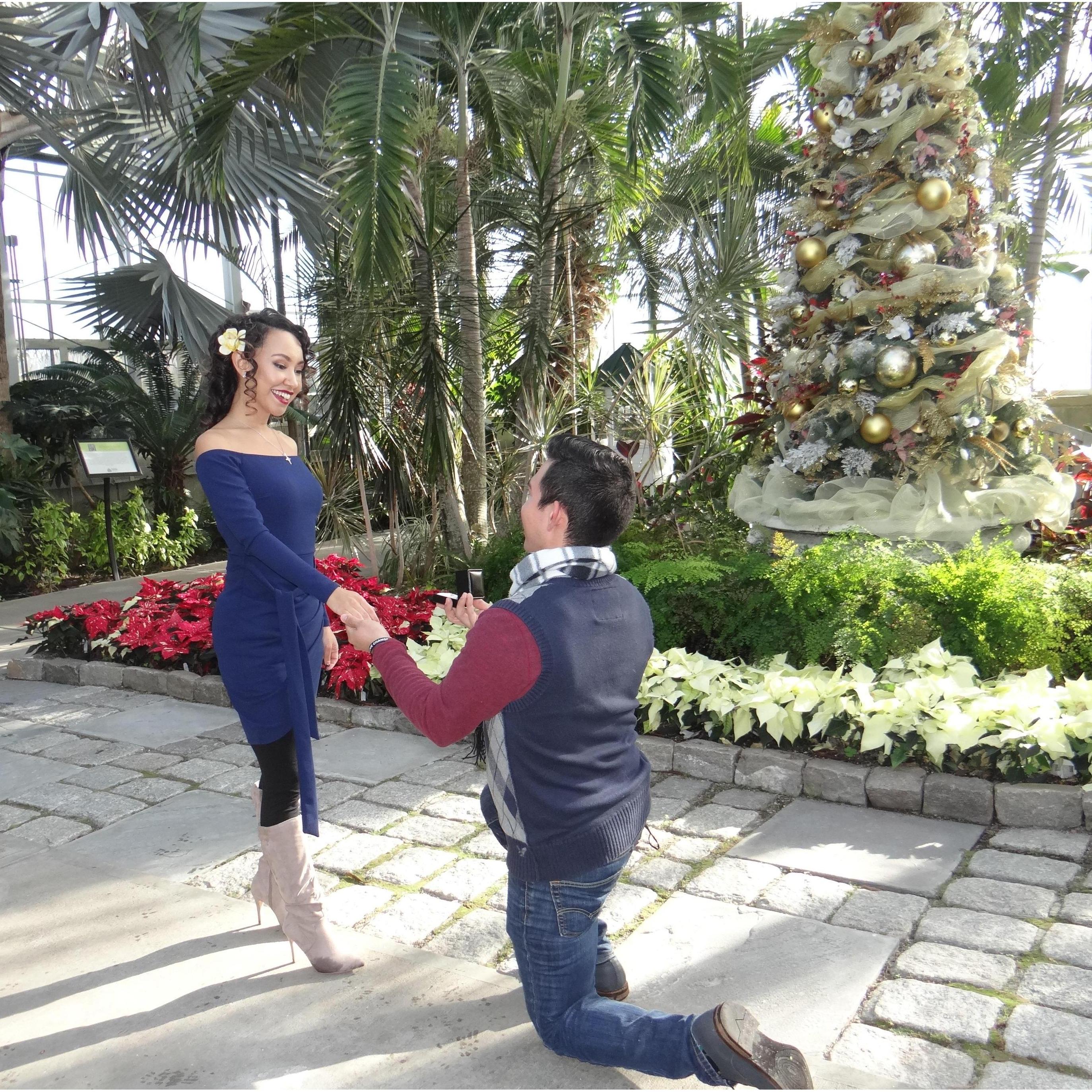 Thank you Mom, Frankie, and Chelly for taking our initial pictures to share the good news!