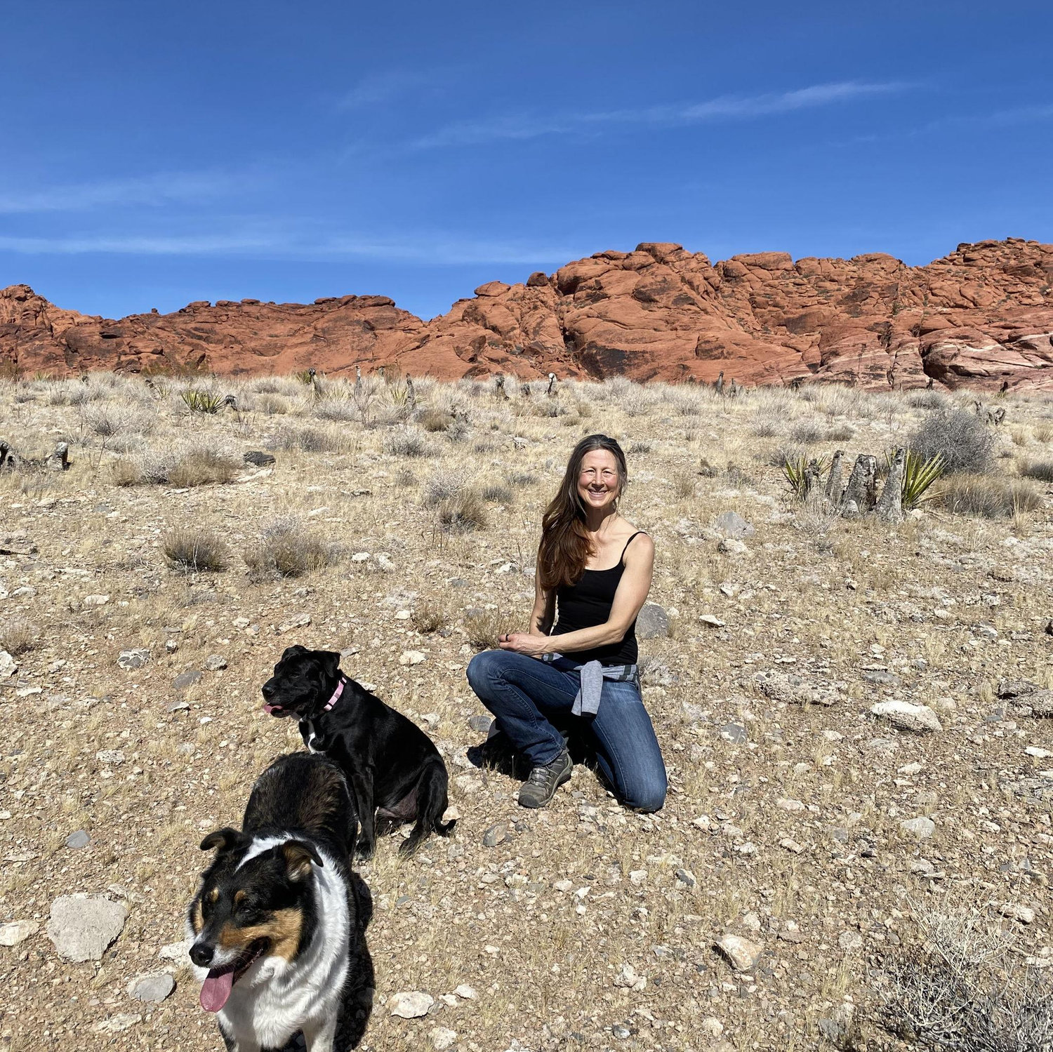 Red Rocks 2025
