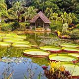 La Rinconada Ecoparque y Restaurante
