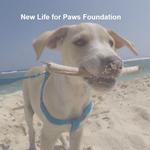 New Life for Paws Foundation