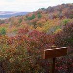 Pine Mountain Trail