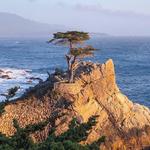 17 Mile Drive
