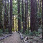 Joaquin Miller Park