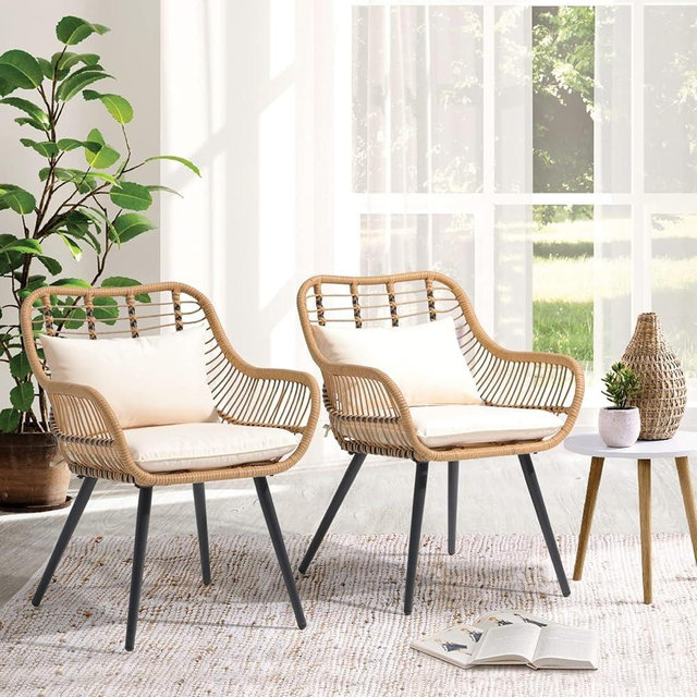 JOIVI Outdoor Patio Wicker Chairs Set of 2, Rattan Porch Chairs with Cushion and Armrest, Outdoor Seating with Iron Frame, Balcony Furniture for Apartments, Lawn, Backyard, Garden