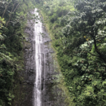 Manoa Falls