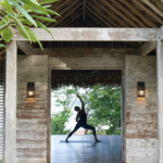 Yoga and Fitness