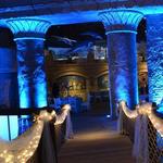 Riverhead Aquarium