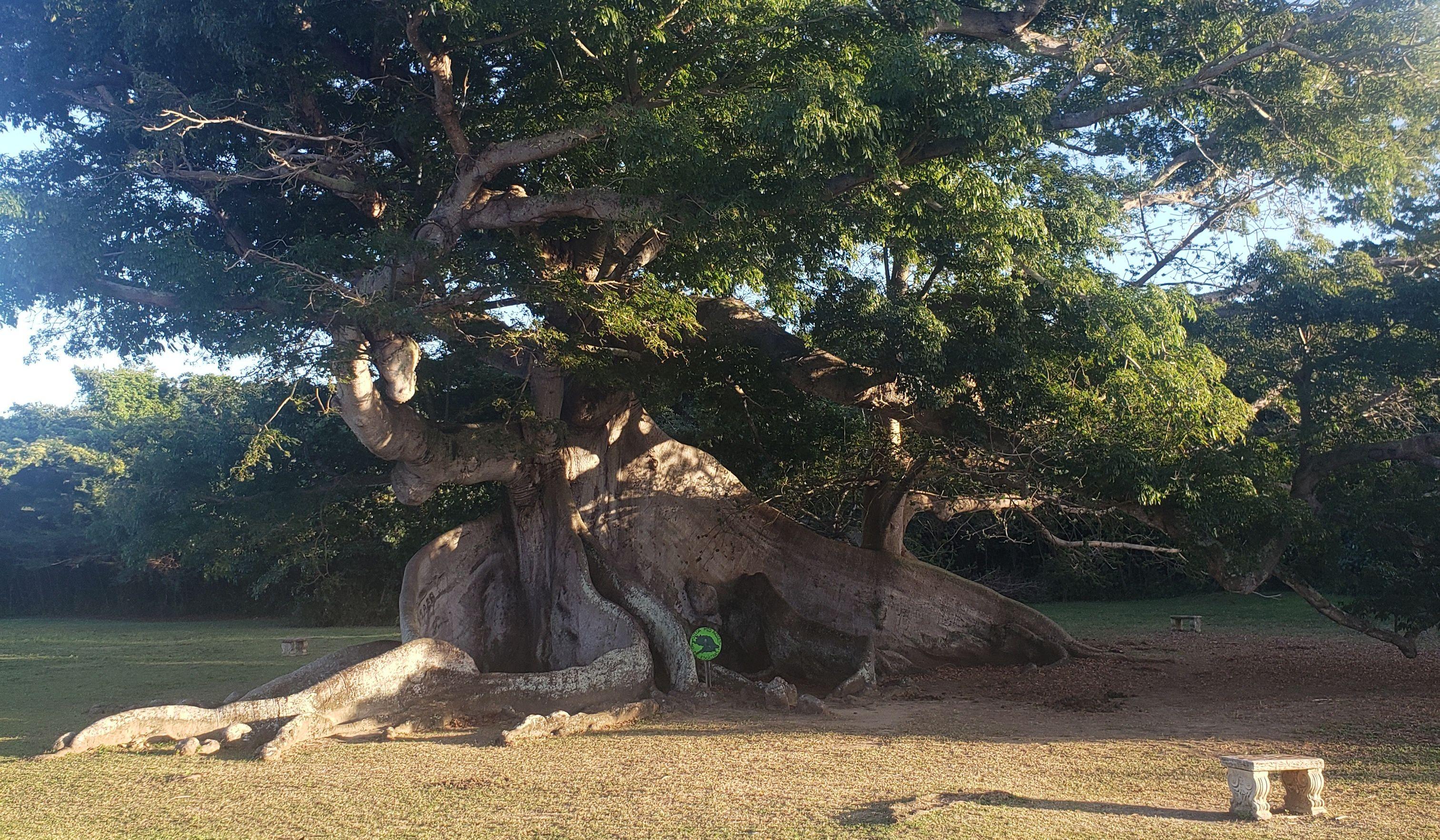 Hero Slideshow Image 4