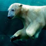 Columbus Zoo and Aquarium