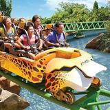 Busch Gardens Tampa Bay