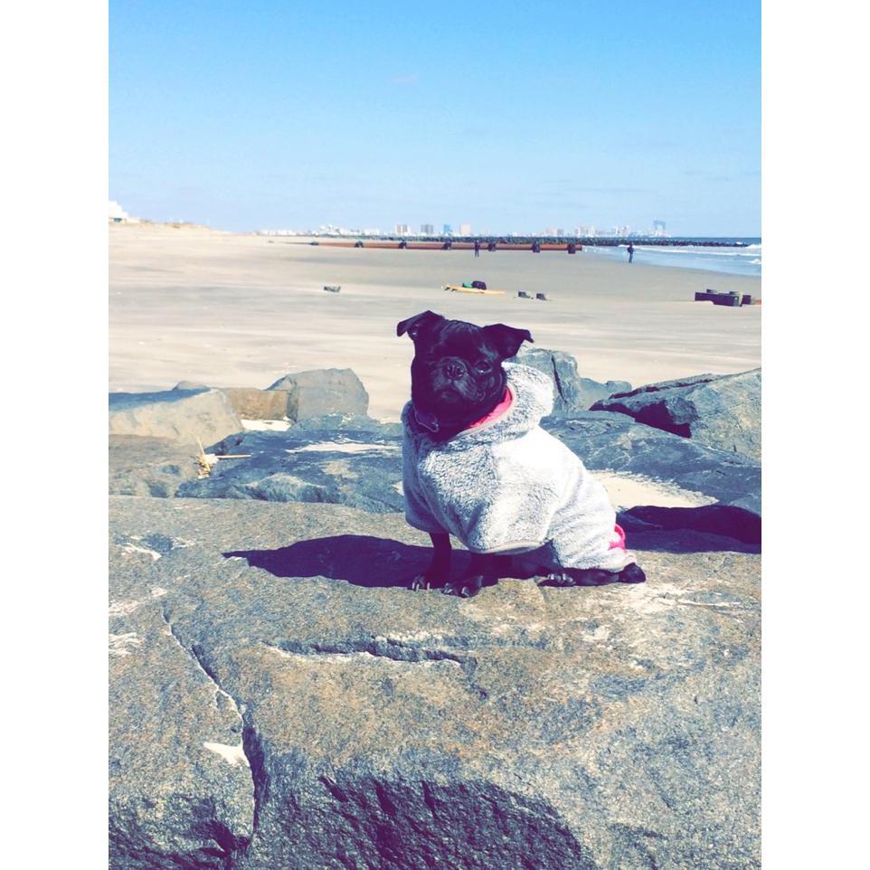 we are obsessed with our Ella, she will be making an appearance at the wedding!