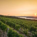 Finger Lakes Wine Tour