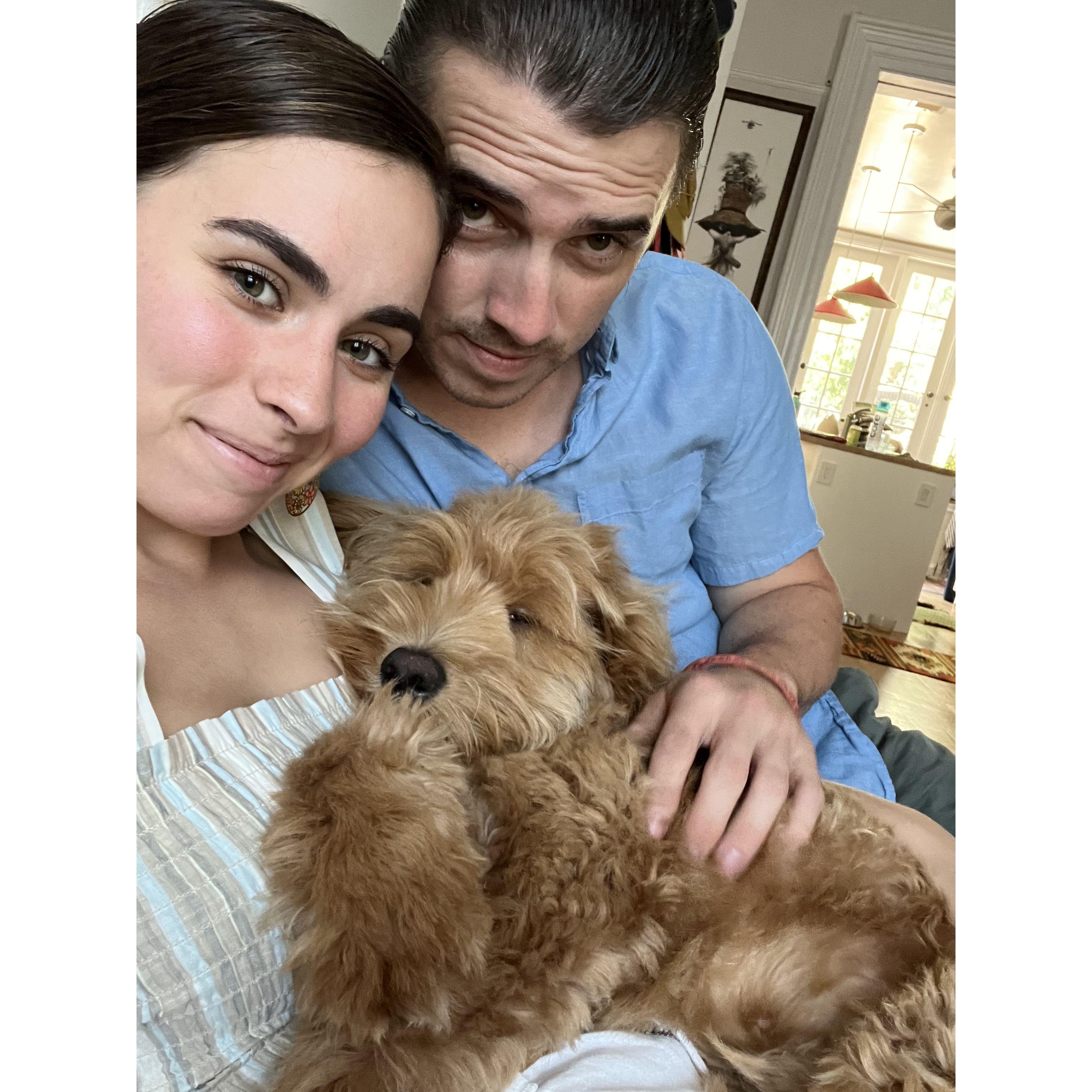 At home with Mochi Bear