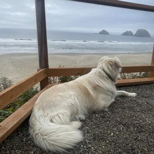 Oregon Honeymoon Fund