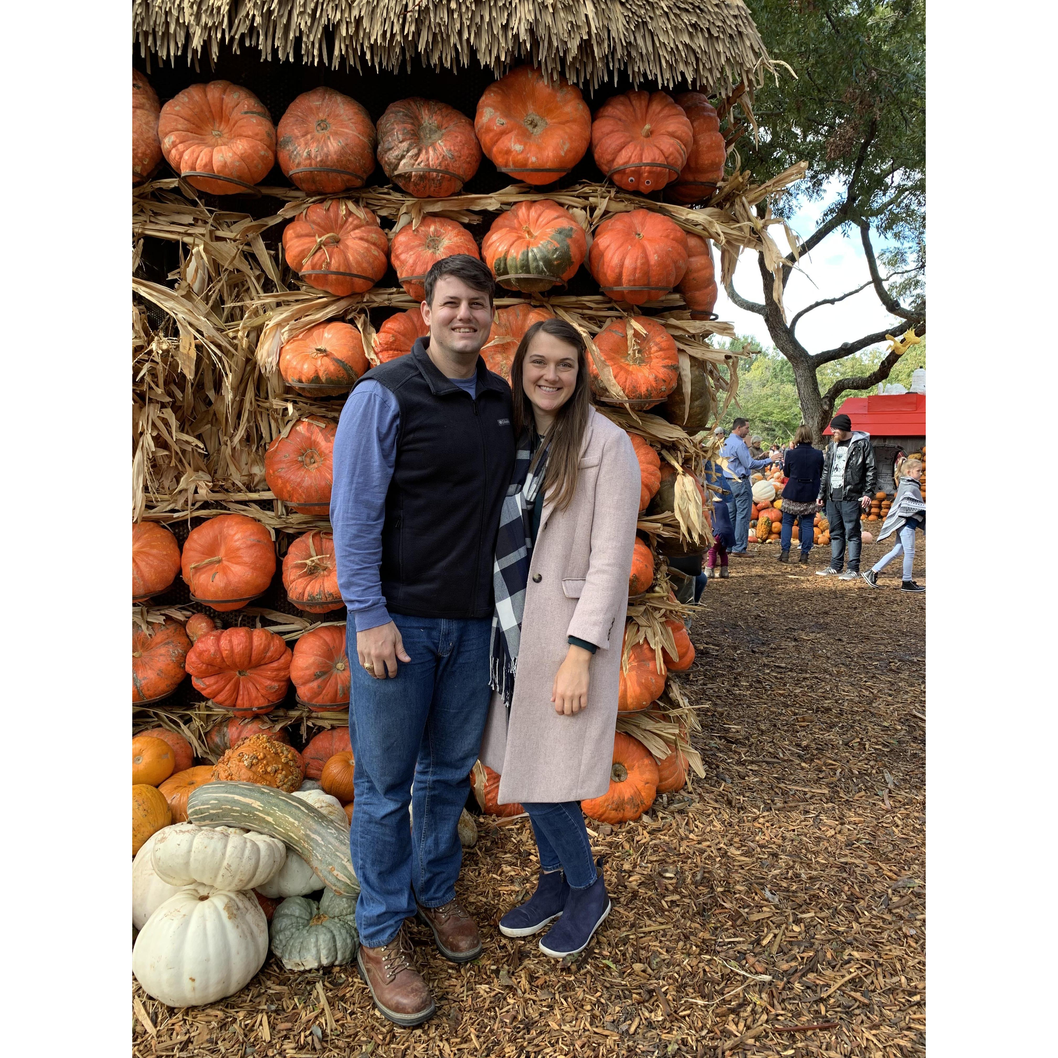 At the arboretum this past fall!
