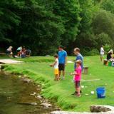 Grandfather Trout Farm