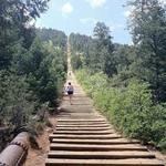 The Incline