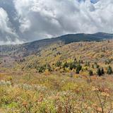 Hike at Black Balsam Knob via Art Loeb Trail
