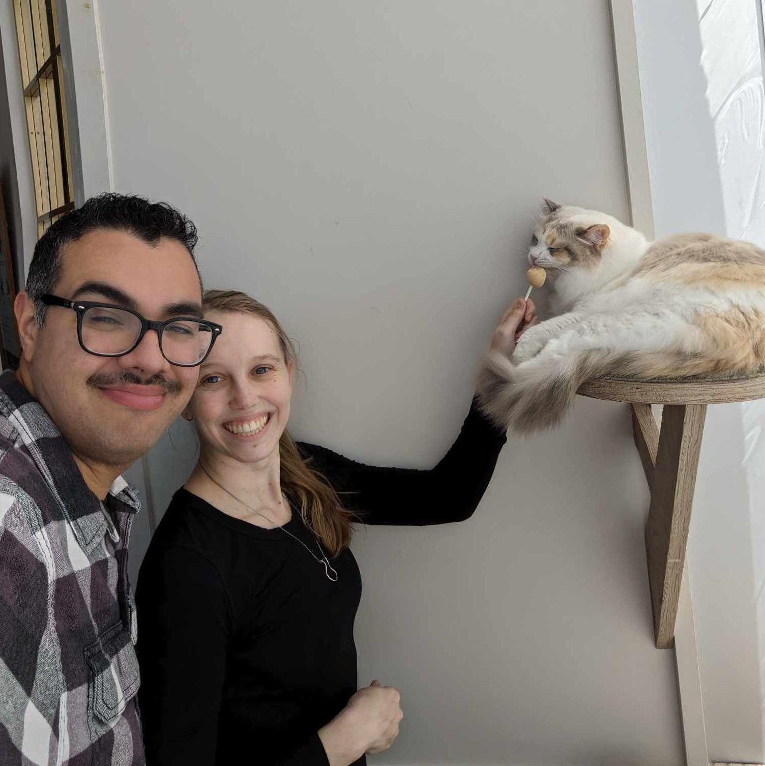 Cat Cafe