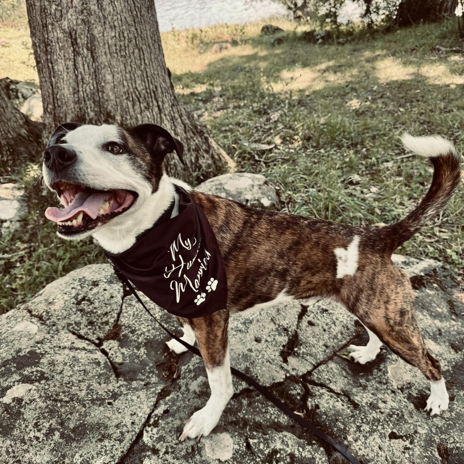 Shooting our save the dates at Green Lane with smiley Tucker!