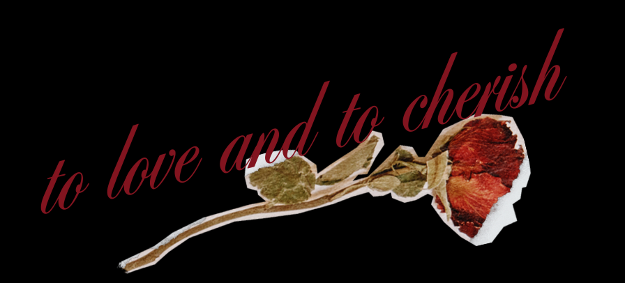 The Wedding Website of Brienne Victoria Felty and Bryce William Moser