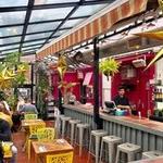 Zona Rosa