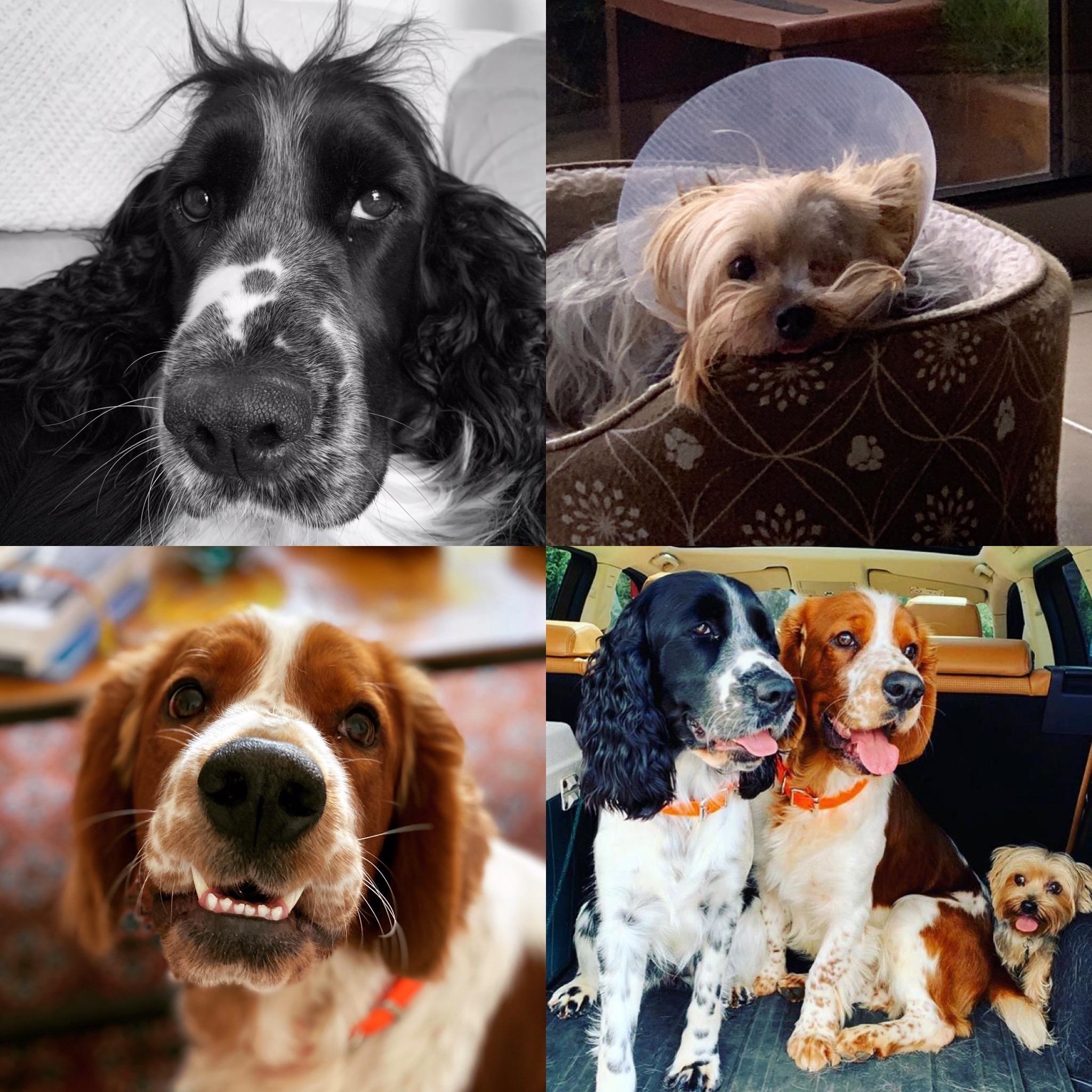 Hemos tenido tres cómplices del romance.