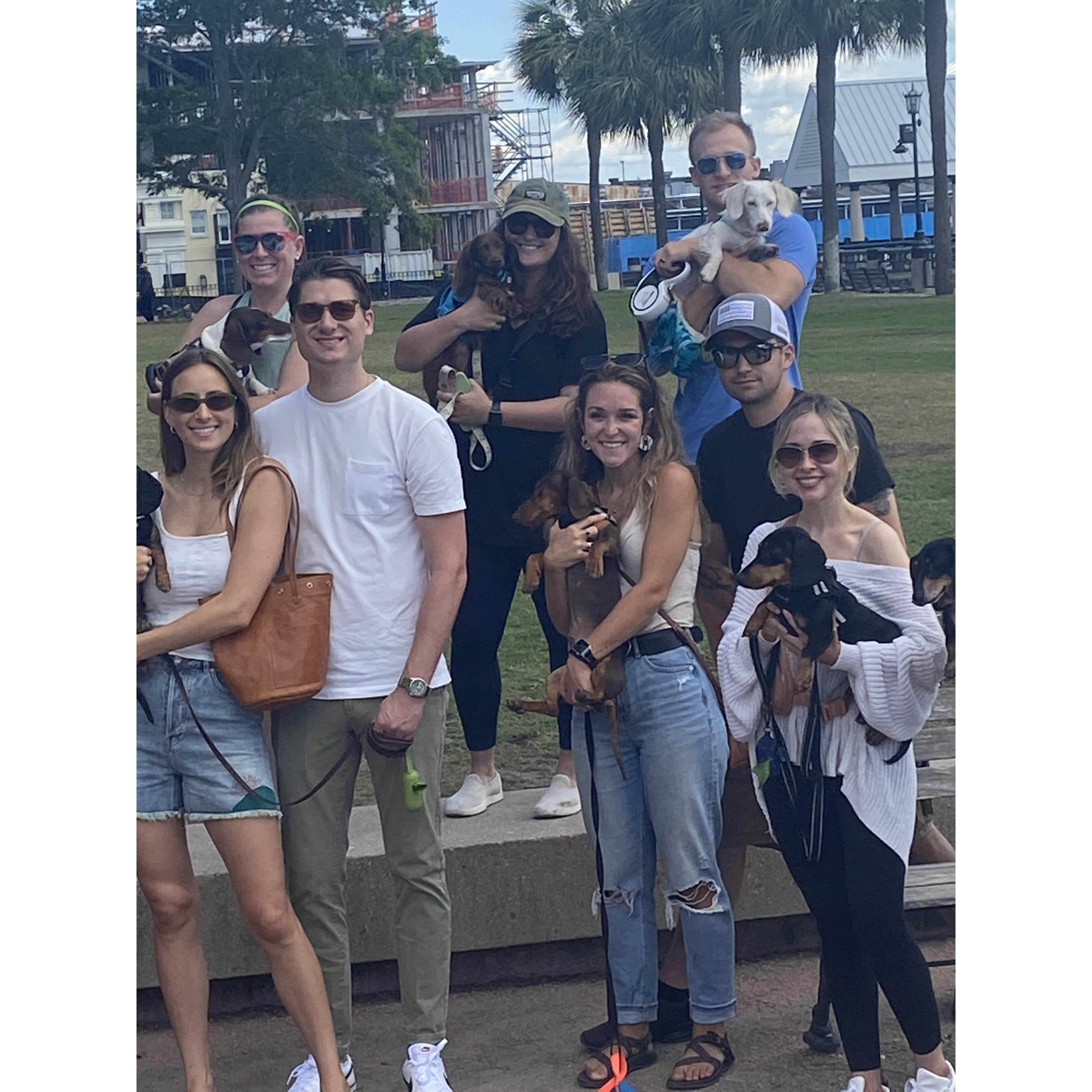 Charleston Weenie Walk with our little Bean!