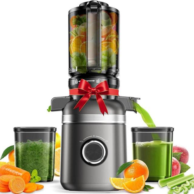 GlowWise Cold Press Juicer Machines for Whole Vegetables & Fruits, Slow Masticating Juicer Maker with Wide Feed Chute, High Juice Yield, Easy to Clean, Gray