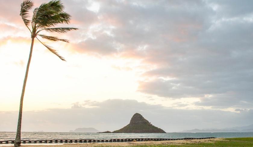 Hero Slideshow Image 4