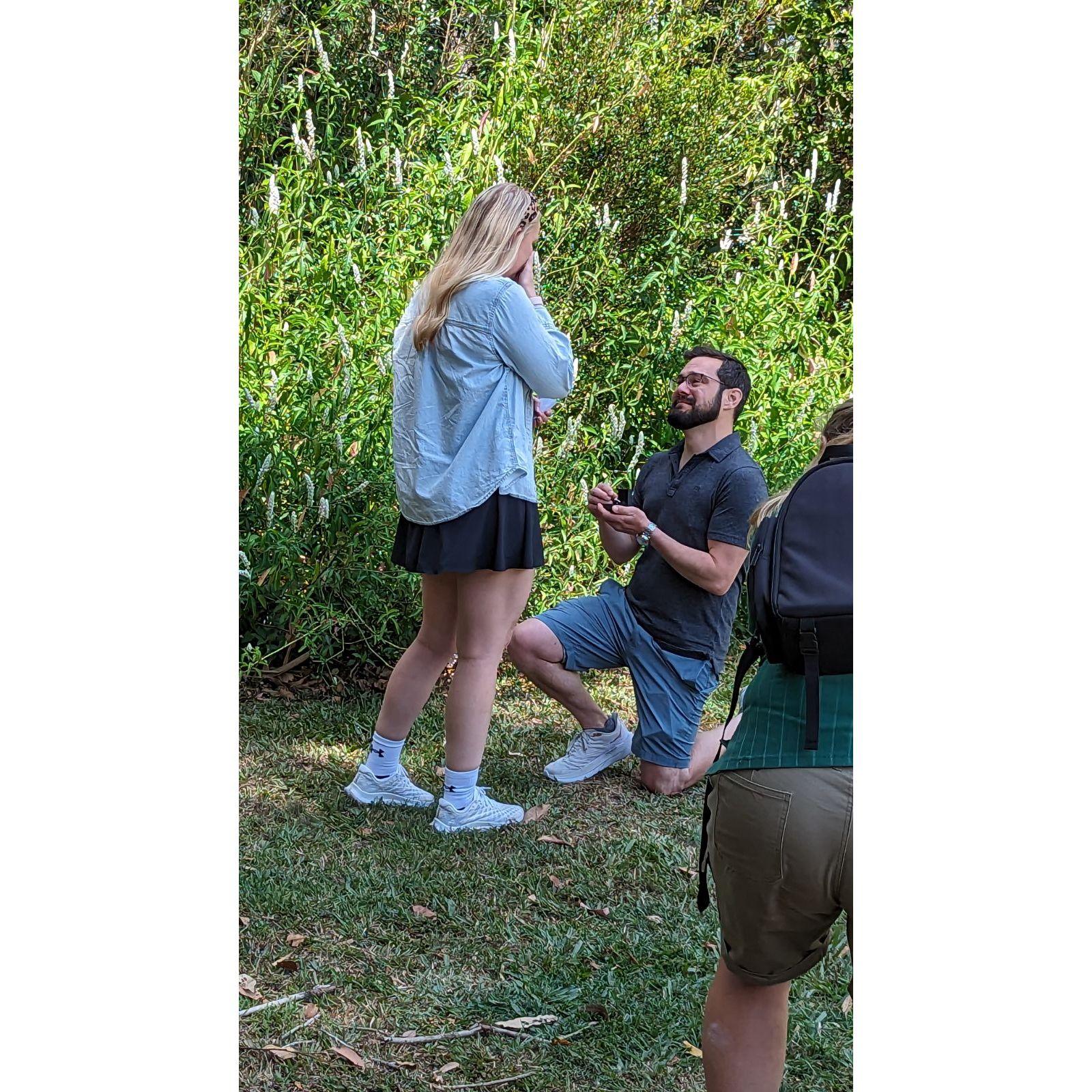 Richard got the zoo in on the proposal and they used a cockatoo to help him propose