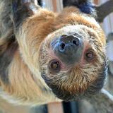 Brookfield Zoo