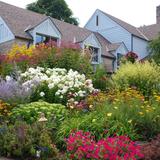 University of Minnesota Landscape Arboretum