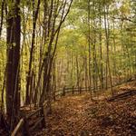 Kalamazoo Nature Center